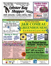 LobsterBayShopper604