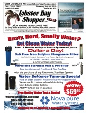 LobsterBayShopper632