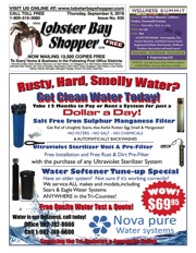 LobsterBayShopper635