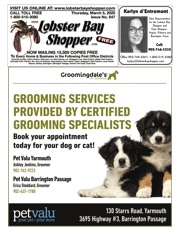 LobsterBayShopper647