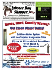 LobsterBayShopper651