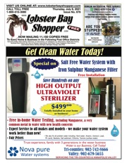 LobsterBayShopper676