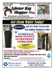 LobsterBayShopper688