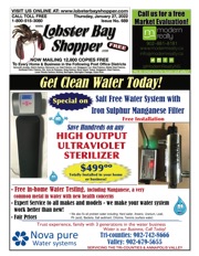 LobsterBayShopper689