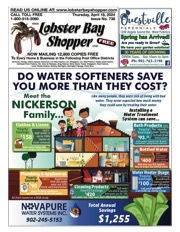 LobsterBayShopper738