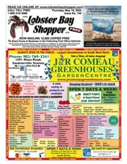 LobsterBayShopper740