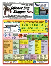 LobsterBayShopper762